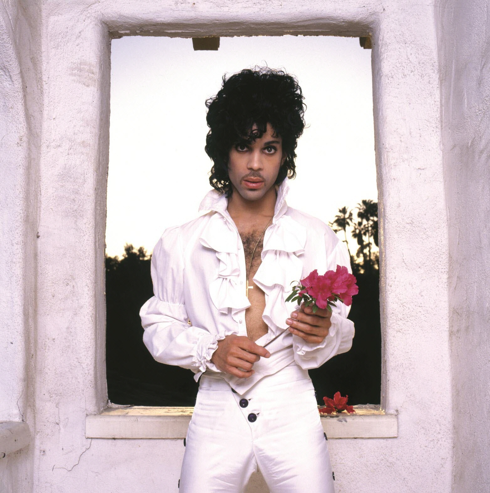 prince 1984 academy award best song film paisley park larry williams shakinaart painting of Prince Rogers Nelson fine art drink coasters A light silhouette of a regal figure with a crown, representing the Prince of Musical Genius  with an aura of power and authority. when doves cry and purple rain drops over a glitter ocean and lotus blossom flower third eye activate, the artist formerly known as Prince. Rhonda Smith Bass REVOLUTION Party Up 